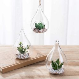 Terrarium, Tear Drop Shape Hanging Planter For Plant & Indoor Gardening, 1 Piece Glass Vase-image-83
