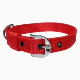 Dog Neck Collar Belt Pet Strap Dog & Cat Everyday Collar-26