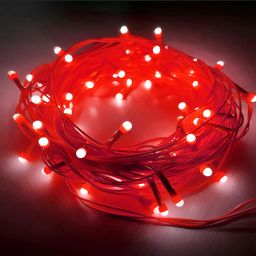 40 LEDs 3 m Red Steady Bulb Rice Lights-image-82