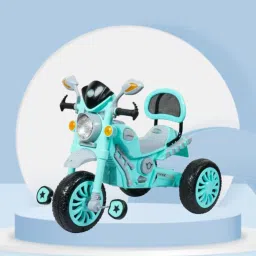 Dash Star Apache Trike With Light and Music With Back Support Kids Tricycle DS_APACHE-TRIKE_GREEN Tricycle-picture-14