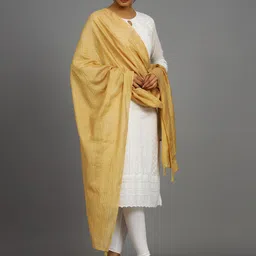 HANDICRAFT PALACE Striped Embroidered Dupatta with Sequinned image 5