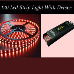 120 LEDs 5 m Red Steady Strip Rice Lights-image-76