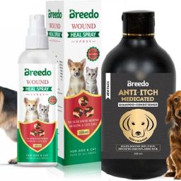 Dog Wound heal Spray (Helps cut,burns) (100gm) + Dog Anti-itch Shampoo (250ml) Pet First Aid Kit-image-66