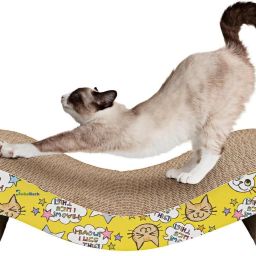 Cat Scratching Pad-2