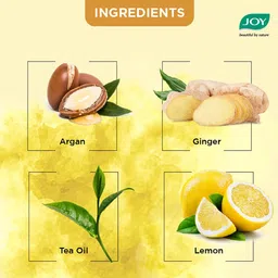 JOY Anti Dandruff Shampoo with Tea Tree & Ginger for Dry & Itchy Scalp - 340ml image 4