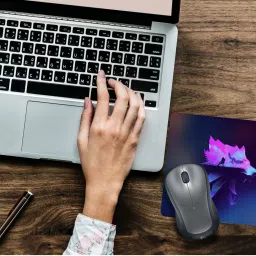 qivee COLOR WOLF COMBO (10) Mouse Pad Non-Slip Rubber Base Mouse pad for Laptop & Desktop Mousepad image 2