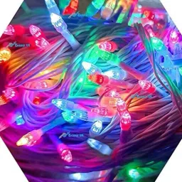 15 m Multicolor Rice Lights image 4