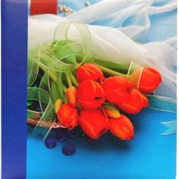 Photo Album 4 x 6 200 Memo Album-image-78