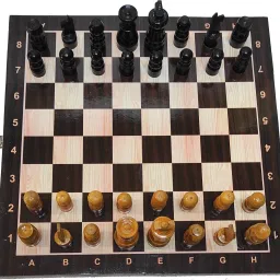 decorcreation Folding Wooden Chess Board 12x12 inch 30 cm Chess Board image 2