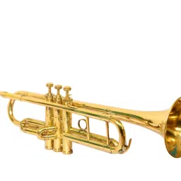 TRMP02 Bb Trumpet-picture-12