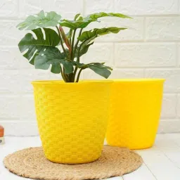gold dust Yellow Plastic (Set of 2) Desk Pots-picture-31
