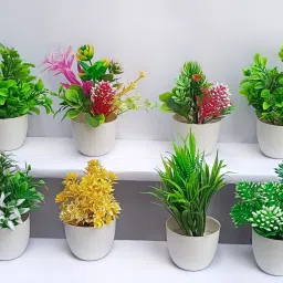 Set of 8 Small/mini Artificial Plant With Pod Home decor Bonsai Wild Artificial Plant with Pot-image-53