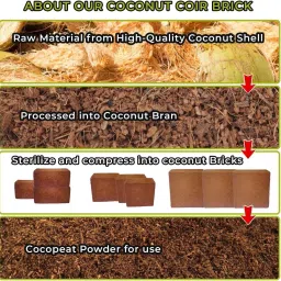 gardenscoir COCO PEAT POWDER - 5 KG coir pith loose and dry Ready to use potting mixture Soil image 3