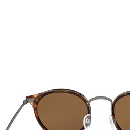 Vincent Chase Brown Lens & Round Sunglasses with Polarised and UV Protected Lens 130811 image 5