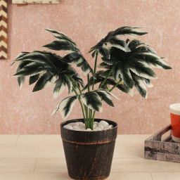 Green Polyester Artificial Spiderweb Plant with 9 Leaves in Anique Finish Pot by Foliyaj-picture-46