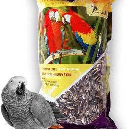 Imported Large Size Sunflower Seeds for Gray Parrot,Indian Parrot, Macaw,Cockatoo and Exotic Birds Nuts 0.5 kg Dry Adult, Young, Senior Bird Food-21