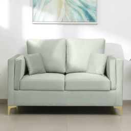 casacraft from pepperfry Dona Velvet 2 Seater Sofa in Cool Grey Colour-picture-0