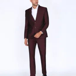 Men 2 PC Suit Solid Suit-image-72