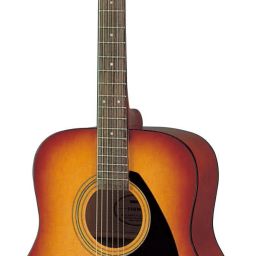 F 310 TBS Acoustic Guitar Rosewood Rosewood-image-18