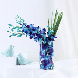 Radiant Orchids With Chocolates Combo image 5