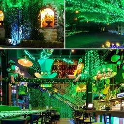 SPARK WORLD Green Rice Shape LED Fairy String Lights image 2