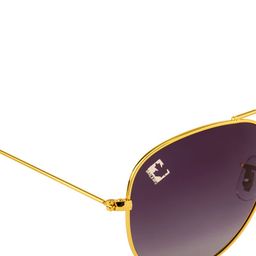 Clark N Palmer Unisex Aviator Sunglasses with Polarised and UV Protected Lens image 4