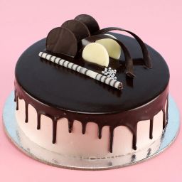 2 Layer Bamboo & Eggless Chocolate Cake image 5