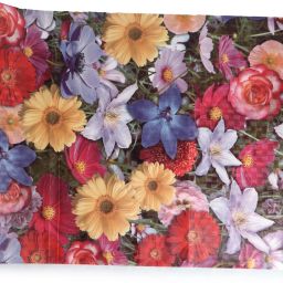 flipkart smartbuy Rectangular Pack of 1 Table Placemat image 2
