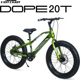 DOPE 20T Kids Fat Bike With Dual Disc Brakes (Sparkle Green)) 20 T (inch) Fat Tyre Cycle-image-32