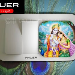 Picture Light Wall Lamp Without Bulb-image-23