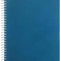 scruton upsc A4 Notebook spiral Mains Answer Writing Booklet 70 gsm (Multicolour transparent cover) 200 Pages image 4