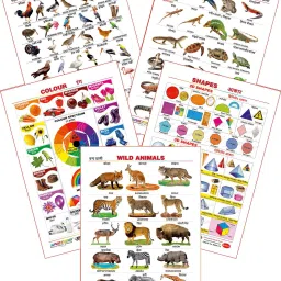 Educational Large Wall Charts (Set of 5) : ( Amphibians & Reptiles, Birds, Colours, Shapes & Wild Animals ) (English & Marathi Language)-image-82