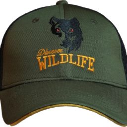 Sports/Regular Cap-image-48