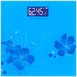 HealthEmate Electronic Personal Digital Weighing Scale-6