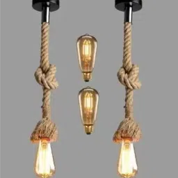 Pendants Ceiling Lamp-picture-18
