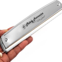 festra R-2403,Harmonica 48-Tone Scale-Changer 24 Hole Key of C Mouth organ With Case image 4