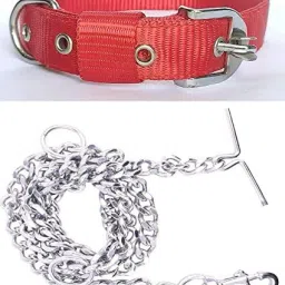 Good Quality Dog Belt Combo of Nylon Red Collar with Dog Chain 1Inch Lengthy 160 cm Dog Chain Leash-10
