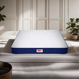 USHA SHRIRAM Blue Quilted Orthopedic SingleMattress-image-95