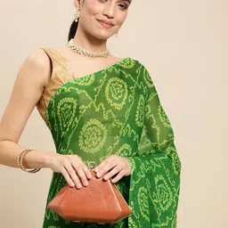 Rani Saahiba Green Bandhani Saree-picture-0