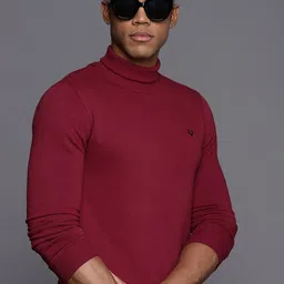 Allen Solly Solid Turtle Neck Sweatshirt-image-15