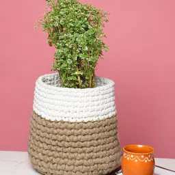 HABERE INDIA Beige & White Jute & Crochet Handmade Sustainable Indoor Planter-picture-17