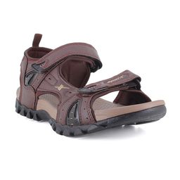 Sparx Men Brown Solid Sports Sandals-image-69