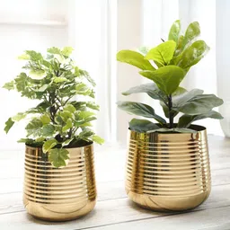 BEHOMA Set of 2 Gold Toned Small & Medium Metal Ribbed Planter-1