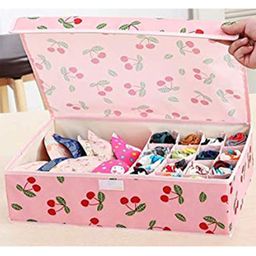 HOUSE OF QUIRK Pink & Red Printed Compartment Organizer-12