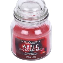 HOSLEY Set of 7 Red Apple Cinnamon Scented Jar Candle With Tealights image 3