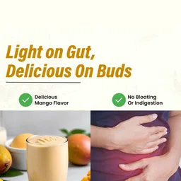 Ayuvya Set Of 2 I-Gain + & Supermaxx Mango Weight Gain Combo image 3