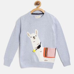 Cherry Crumble Boys Blue & White Llma Self Design Pullover-image-39