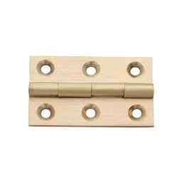 Screw Tight  2 inch Brass Butt Hinge- B170103PB-20 (Pack of 20)-image-98
