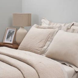 Maspar Solid Beige 300 Cotton Double Quilt-image-59