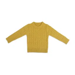 Baby Moo Kids Mustard Textured Pattern Full Sleeves Sweater-23